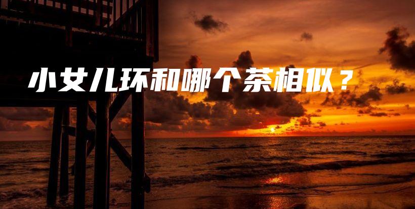 小女儿环和哪个茶相似？插图