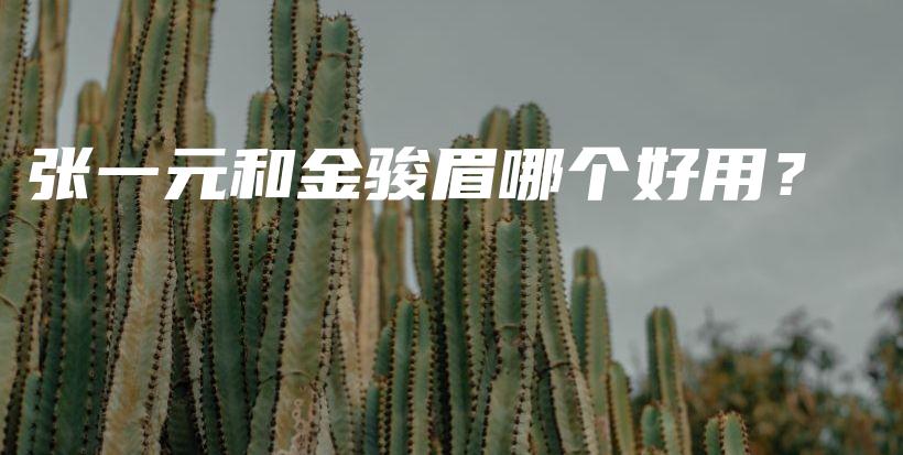 张一元和金骏眉哪个好用？插图