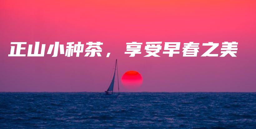 正山小种茶，享受早春之美插图