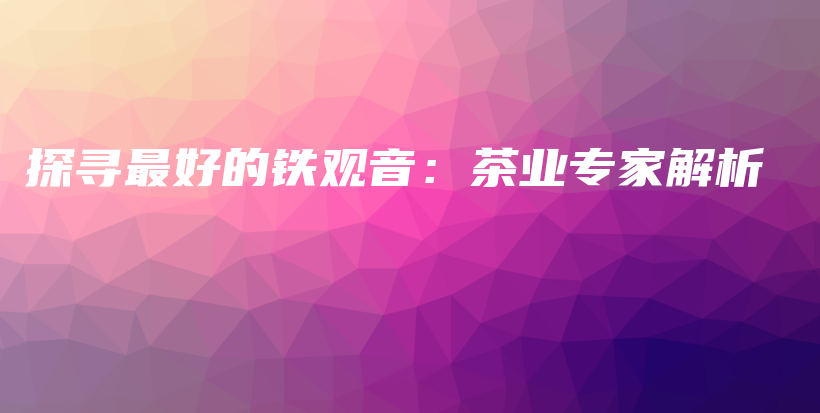 探寻最好的铁观音：茶业专家解析插图