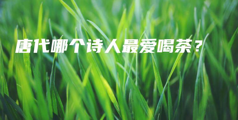 唐代哪个诗人最爱喝茶？插图