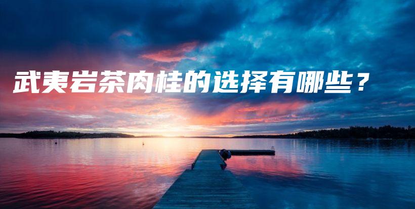 武夷岩茶肉桂的选择有哪些？插图