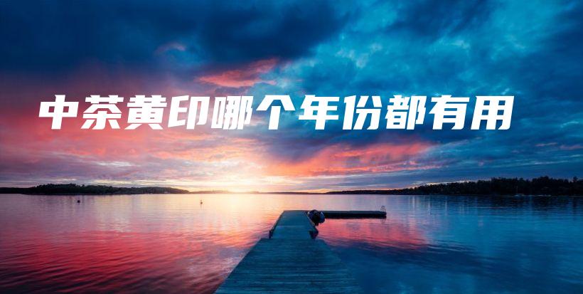 中茶黄印哪个年份都有用插图