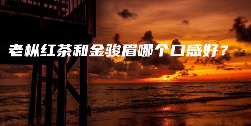老枞红茶和金骏眉哪个口感好？插图