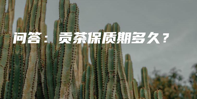 问答：贡茶保质期多久？插图