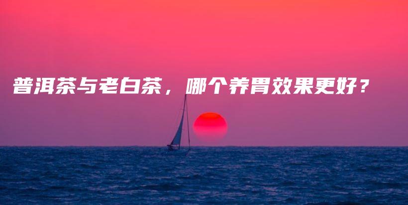 普洱茶与老白茶，哪个养胃效果更好？插图