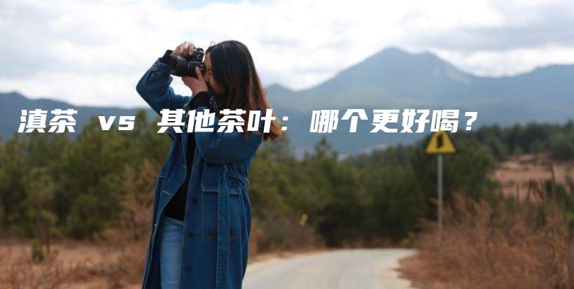 滇茶 vs 其他茶叶：哪个更好喝？插图