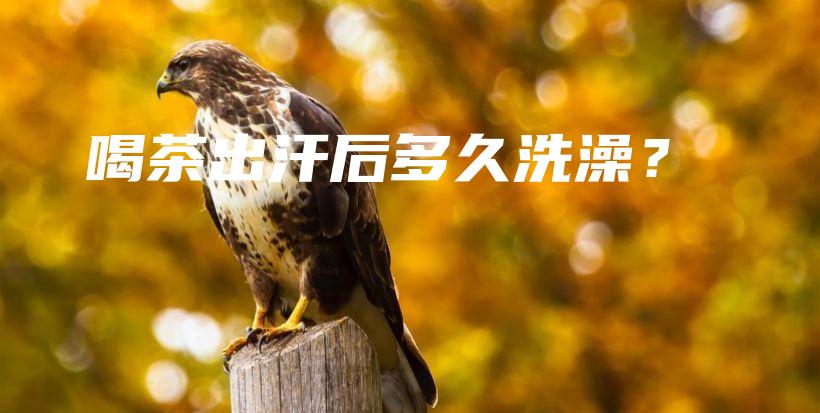 喝茶出汗后多久洗澡?插图 喝茶出汗后多久洗澡?插图