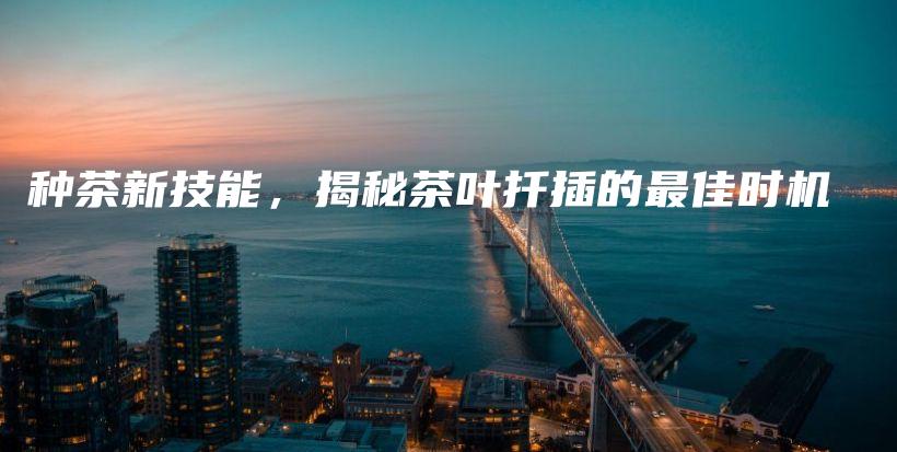 种茶新技能，揭秘茶叶扦插的最佳时机插图