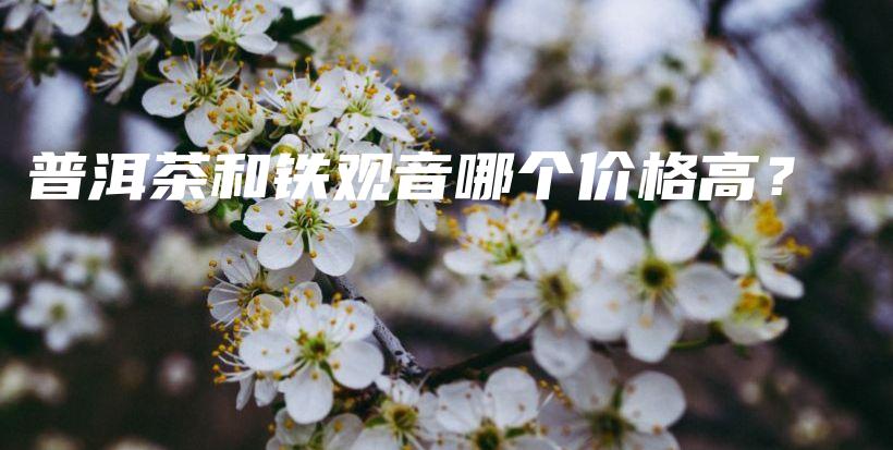 普洱茶和铁观音哪个价格高？插图