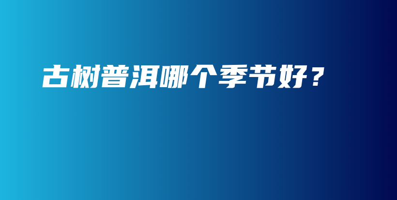古树普洱哪个季节好?插图 古树普洱哪个季节好?插图