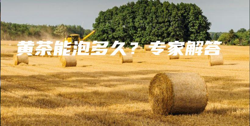 黄茶能泡多久?专家解答插图 黄茶能泡多久?专家解答插图