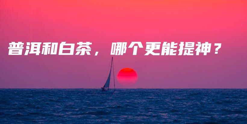 普洱和白茶，哪个更能提神？插图