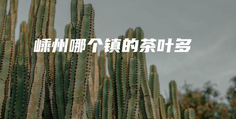 嵊州哪个镇的茶叶多插图