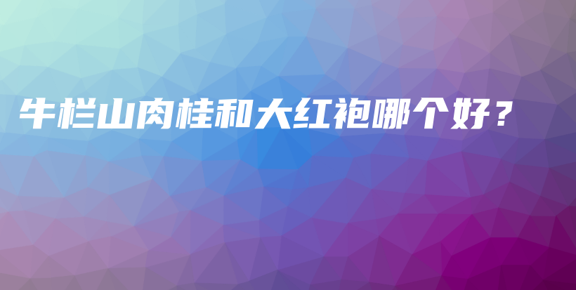 牛栏山肉桂和大红袍哪个好?插图 牛栏山肉桂和大红袍哪个好?插图