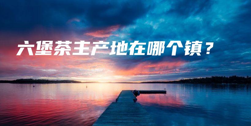 六堡茶主产地在哪个镇?插图 六堡茶主产地在哪个镇?插图