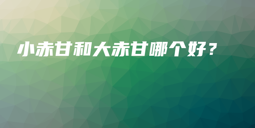 小赤甘和大赤甘哪个好？插图