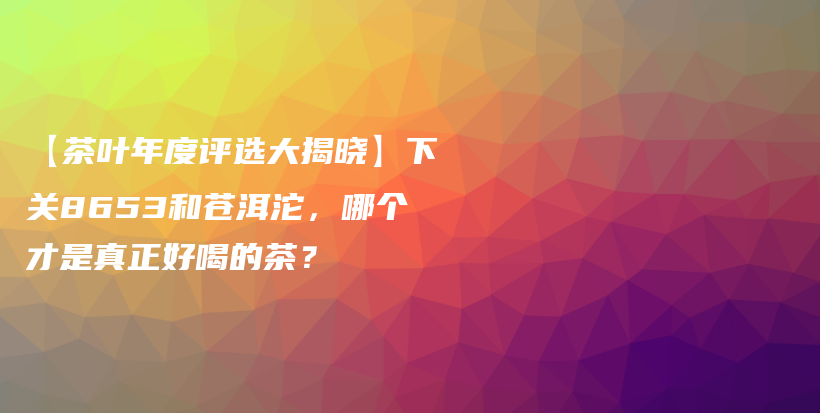 【茶叶年度评选大揭晓】下关8653和苍洱沱，哪个才是真正好喝的茶？插图