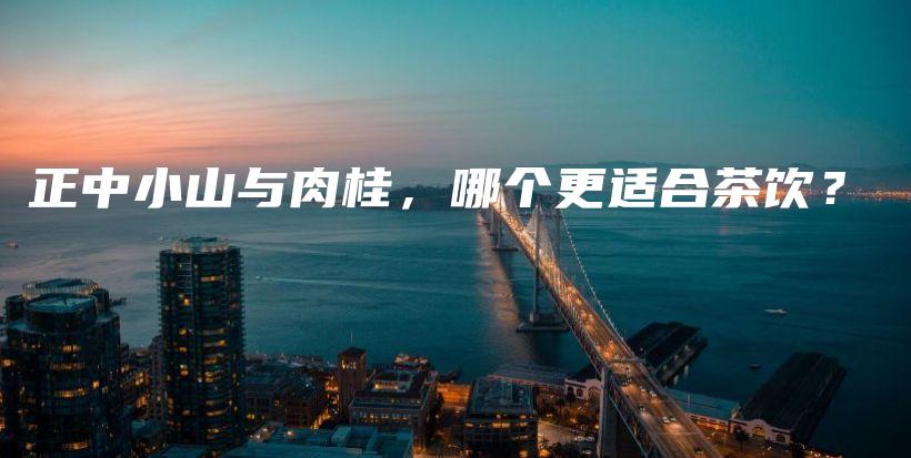 正中小山与肉桂，哪个更适合茶饮？插图