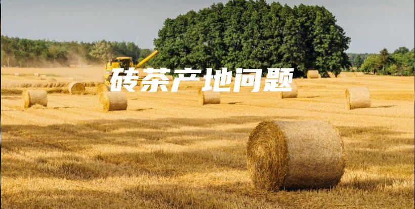 砖茶产地问题插图