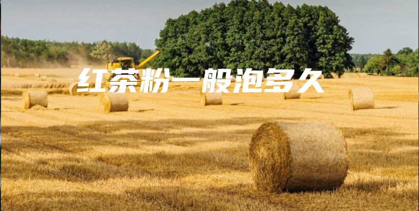 红茶粉一般泡多久插图