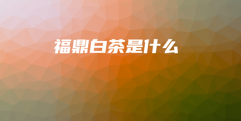 福鼎白茶是什么插图