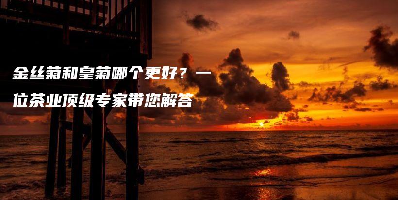 金丝菊和皇菊哪个更好？一位茶业顶级专家带您解答插图