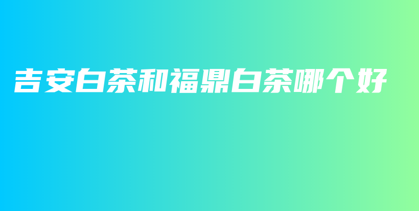 吉安白茶和福鼎白茶哪个好插图