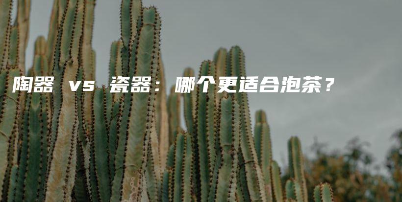 陶器 vs 瓷器：哪个更适合泡茶？插图