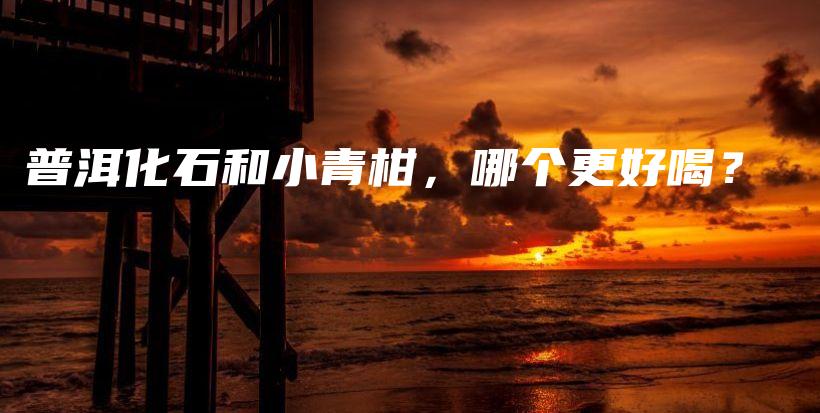 普洱化石和小青柑，哪个更好喝？插图