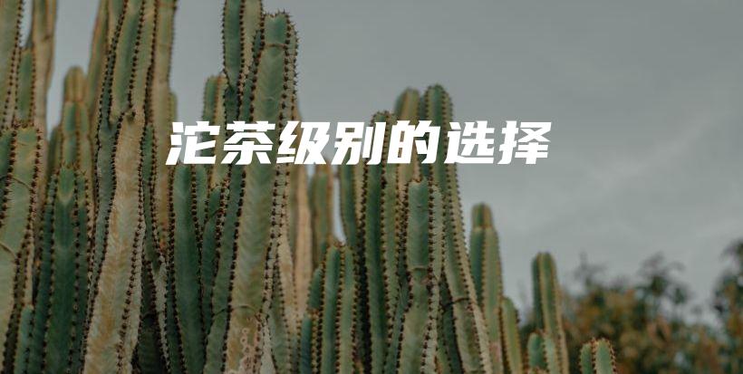 沱茶级别的选择插图