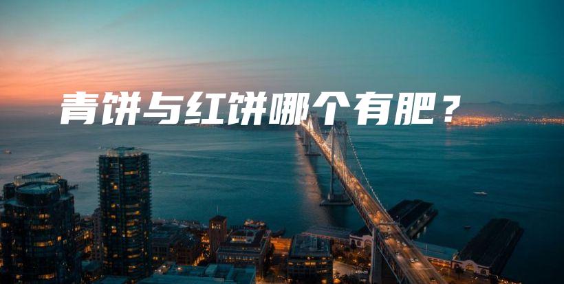 青饼与红饼哪个有肥？插图