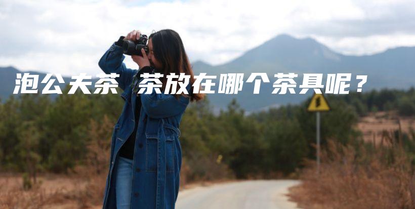 泡公夫茶 茶放在哪个茶具呢？插图