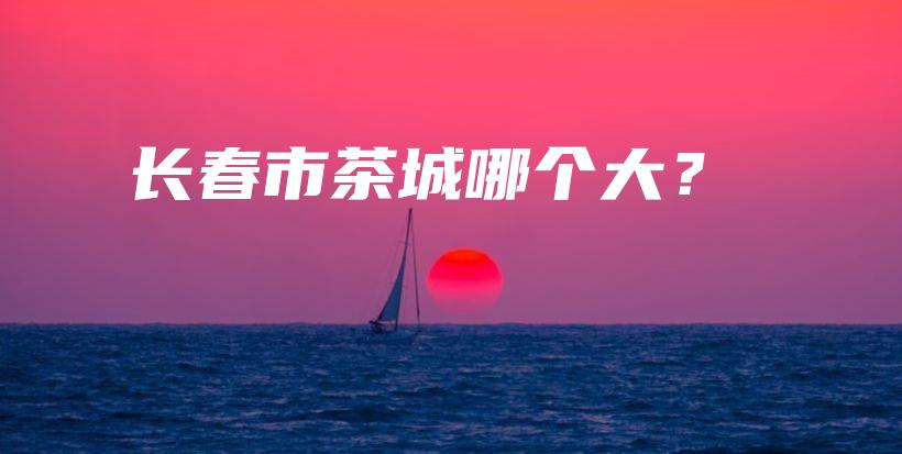 长春市茶城哪个大？插图