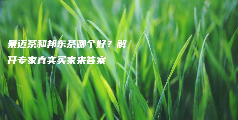 景迈茶和邦东茶哪个好？解开专家真实买家来答案插图