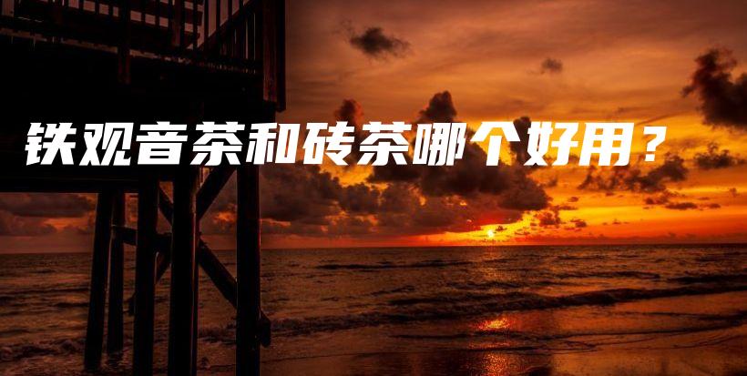 铁观音茶和砖茶哪个好用？插图