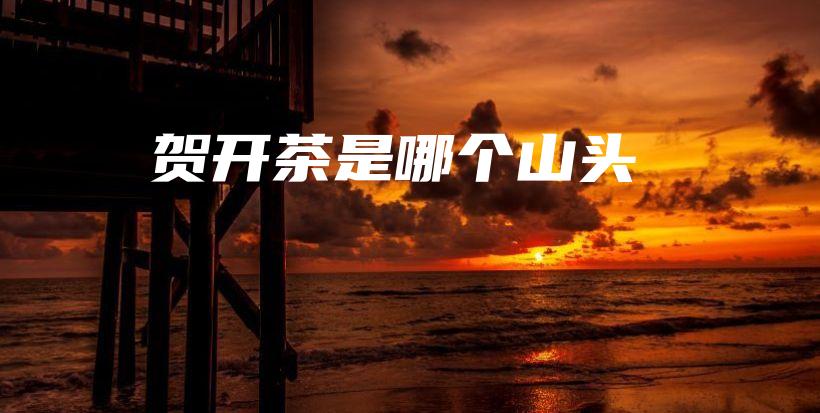 贺开茶是哪个山头插图 贺开茶是哪个山头插图