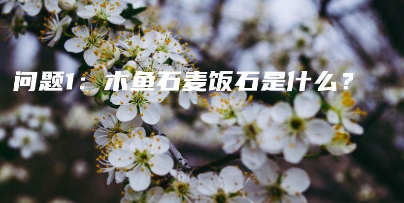 问题1：木鱼石麦饭石是什么？插图