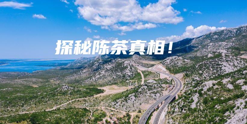 探秘陈茶真相！插图