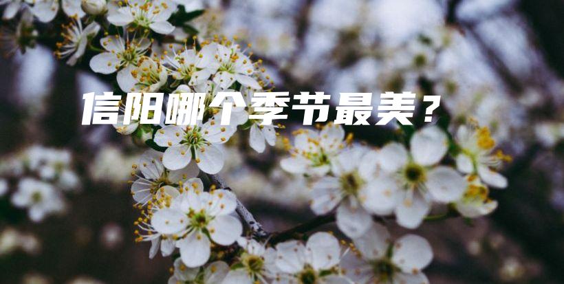 信阳哪个季节最美？插图