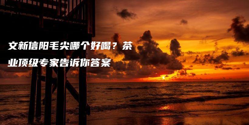 文新信阳毛尖哪个好喝？茶业顶级专家告诉你答案插图