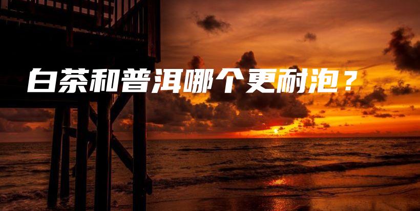 白茶和普洱哪个更耐泡？插图