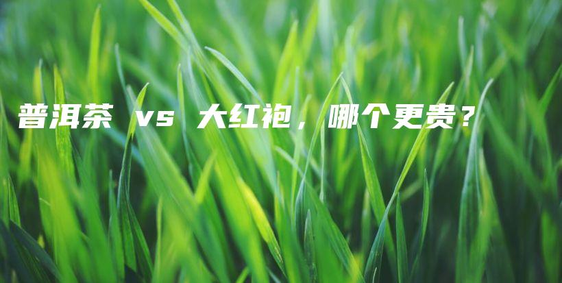 普洱茶 vs 大红袍，哪个更贵？插图