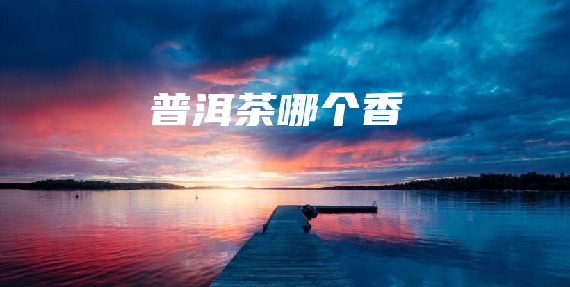 普洱茶哪个香插图