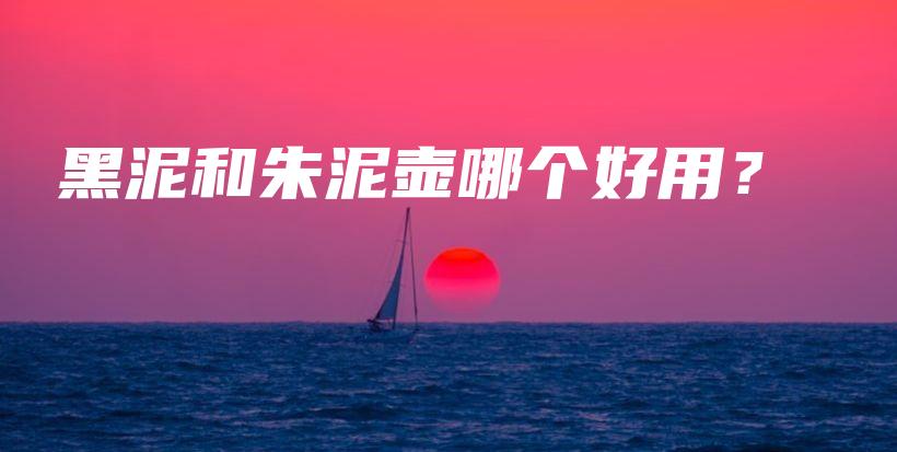 黑泥和朱泥壶哪个好用？插图