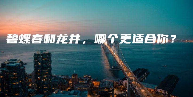 碧螺春和龙井，哪个更适合你？插图