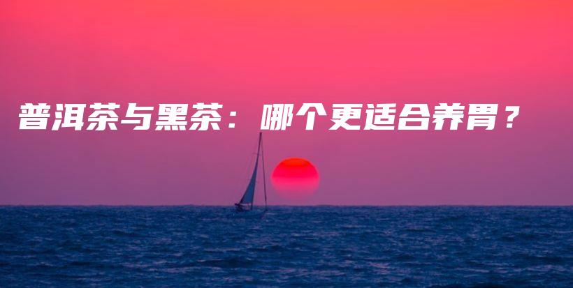 普洱茶与黑茶：哪个更适合养胃？插图