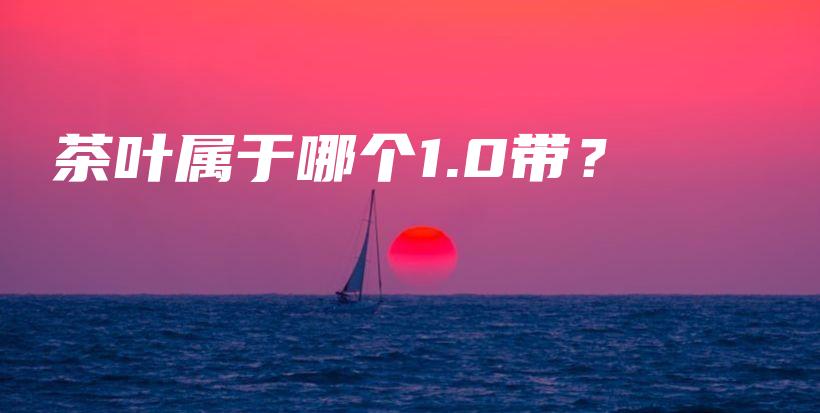 茶叶属于哪个1.0带？插图