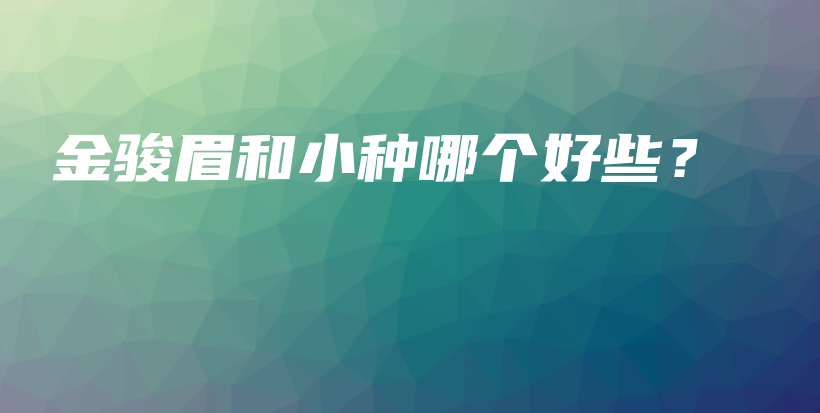 金骏眉和小种哪个好些？插图