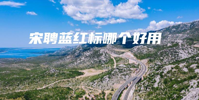 宋聘蓝红标哪个好用插图